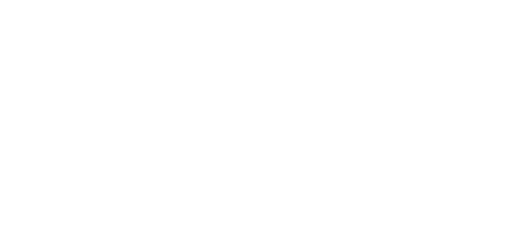 iDenfy logotipas