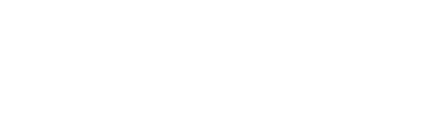 SCOPE FinTech Solutions logotipas